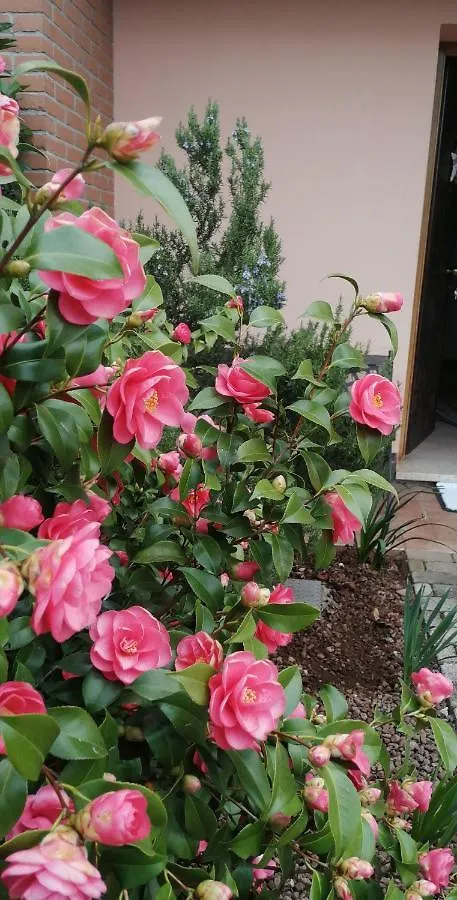Dolce Ricordo, Locazione Turistica Apartment Marano Vicentino 0*,
